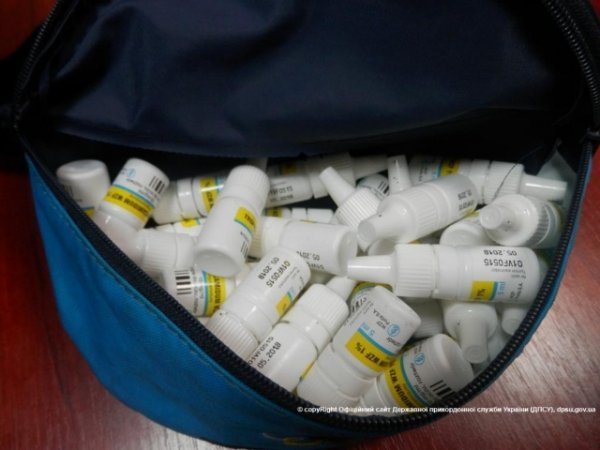 Спаніель Терро зупинив переміщення наркотиків через кордон