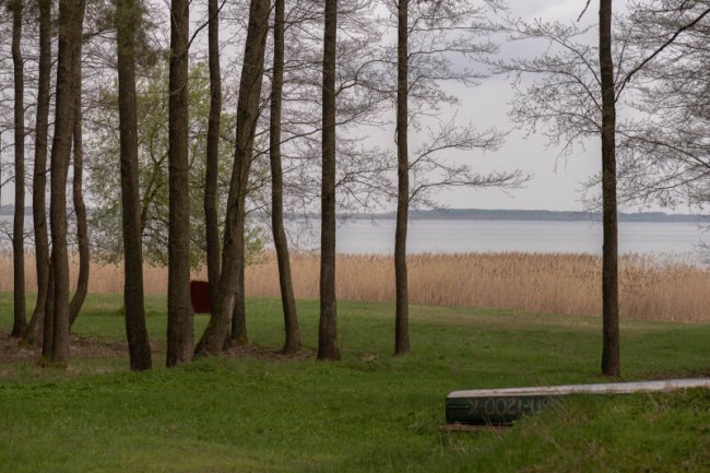 Лісова галявина й очерет біля узбережжя одного з Шацьких озер. Експедиція Волинню. 30 квітня. Фото: Альберт Лорес.  