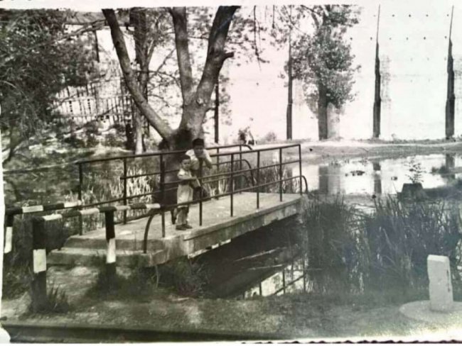 Якою була луцька дитяча залізниця 60 років тому.ФОТО