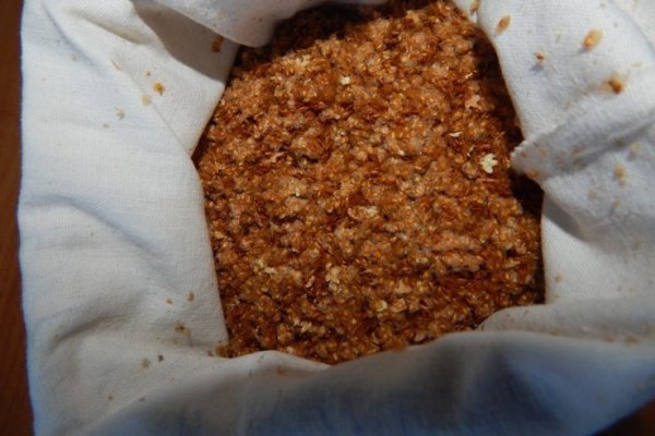 У Любомльському лісгоспі зібрали 5 кілограмів насіння берези. ФОТО