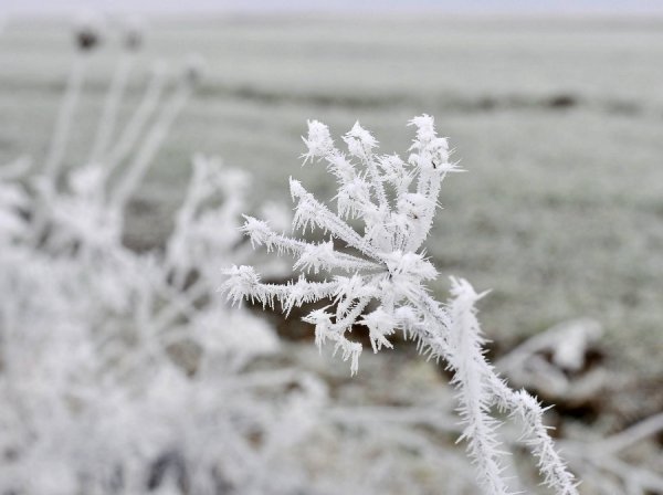 Волинь в льодяному тумані. ФОТО
