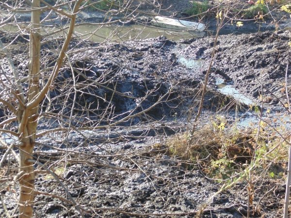 Лучанин «дякує» чиновникам за «красу» біля Сапалаївки. ФОТО