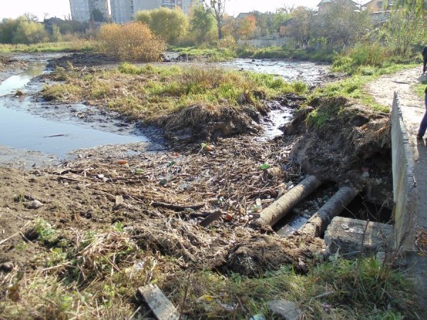 Лучанин «дякує» чиновникам за «красу» біля Сапалаївки. ФОТО
