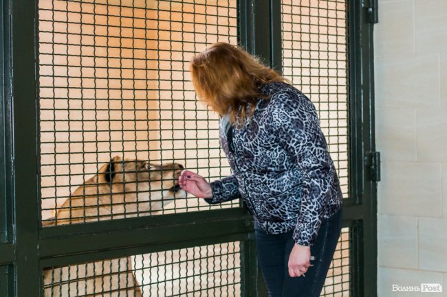 Пухнасті любощі, або Закохані парочки Луцького зоопарку. ФОТО