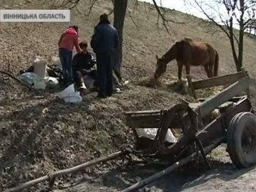 Кінь, який привіз господаря за тисячу кілометрів на Волинь, піде на ковбасу. ФОТО
