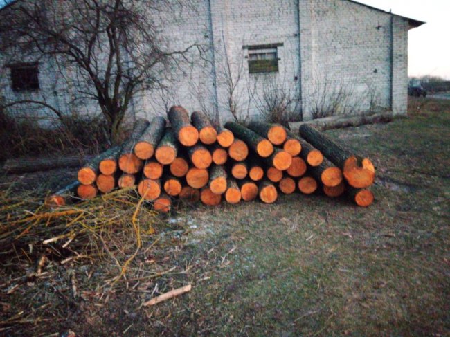 На Волині лісники влаштували засідку, щоб впіймати браконьєрів