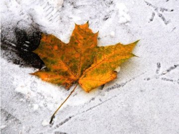 Суттєве похолодання на Волині: коли чекати на перший сніг