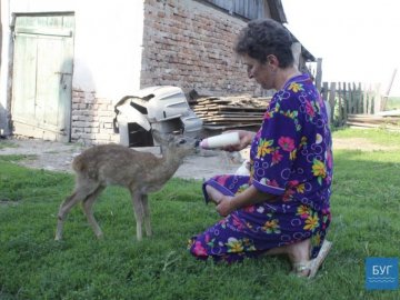 Дивовижна дружба: волинська родина врятувала дитинча козулі