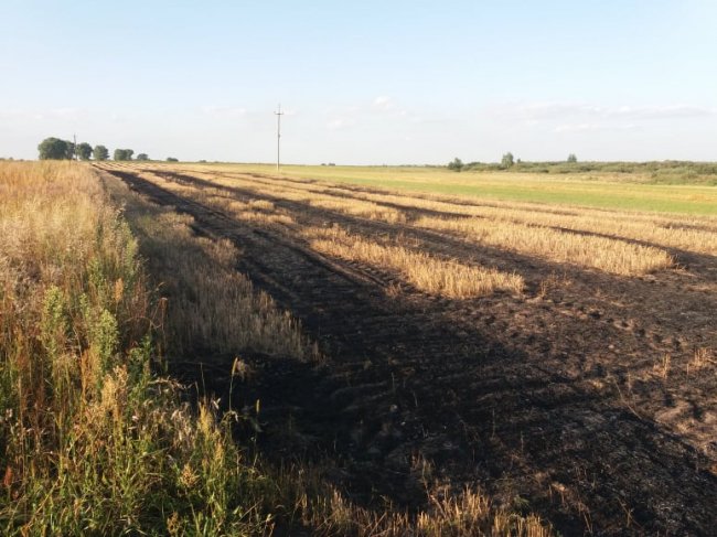 На Волині через спалювання соломи загорівся берег річки. ФОТО, ВІДЕО