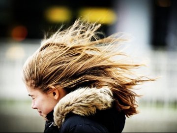 Волинян попереджають про  сильні пориви вітру