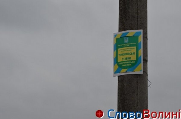 Чистка Теремнівських ставків у Луцьку «стоїть». ФОТО