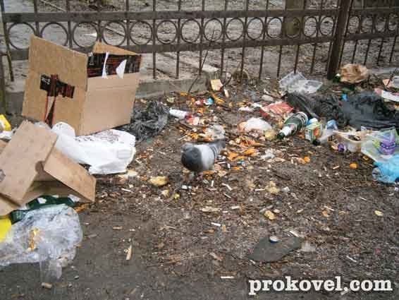 У центрі Ковеля - сміттєва «оаза». ФОТО