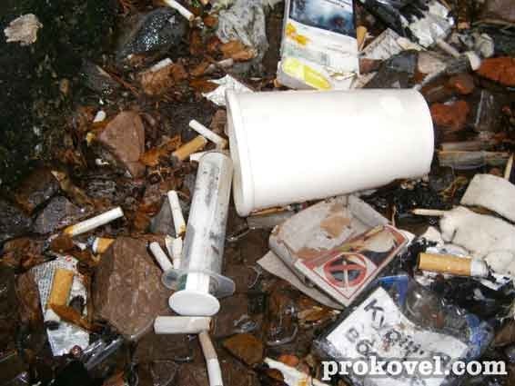 У центрі Ковеля - сміттєва «оаза». ФОТО