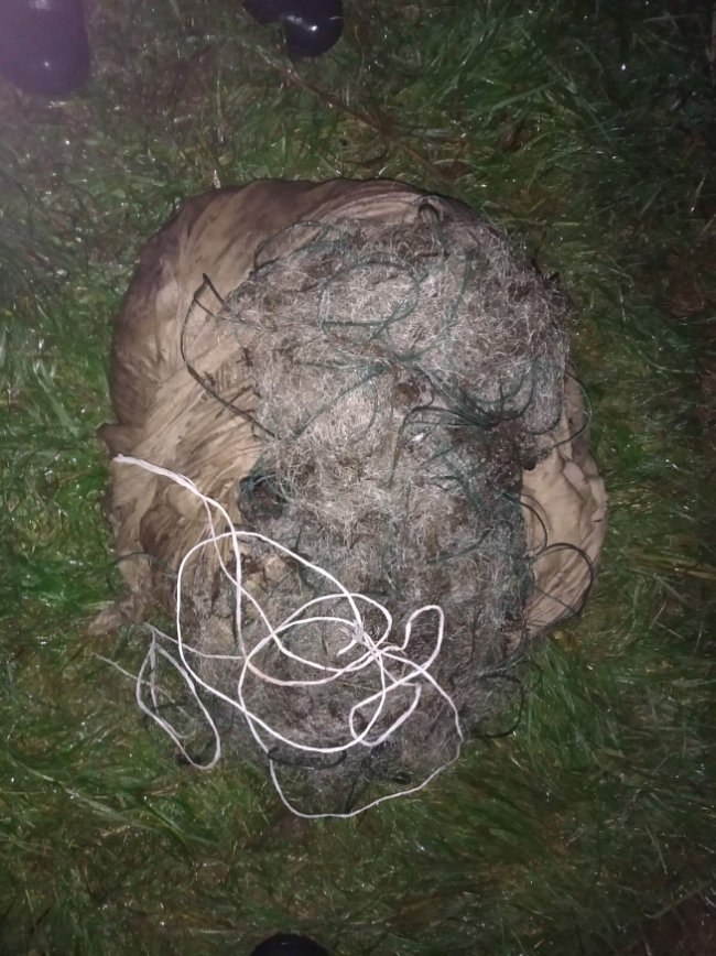 Зловили «на гарячому» двох волинян-браконьєрів