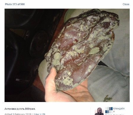 «Непоганий підйом, як для першого разу», - бурштинокопачі в соцмережах проводять майстер-класи ФОТО. ВІДЕО