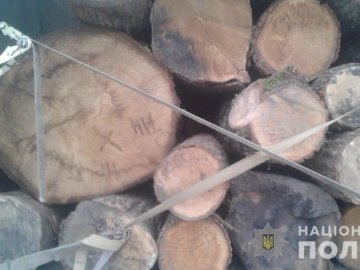 На Волині зупинили вантажівку з «лівою» деревиною. ФОТО