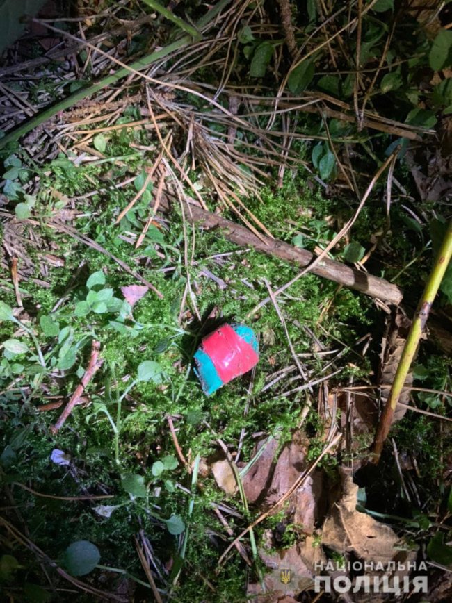 Троє волинян збували наркотики і психотропи через інтернет 