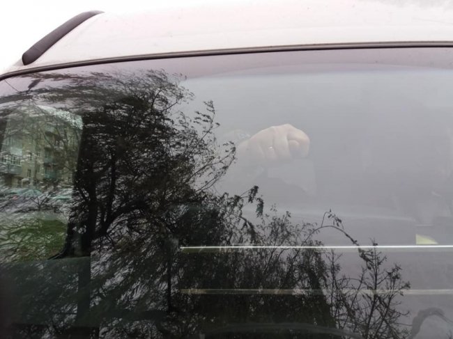 Працівники луцької «Ласки» під час відлову собак тикали дулі місцевим. ФОТО