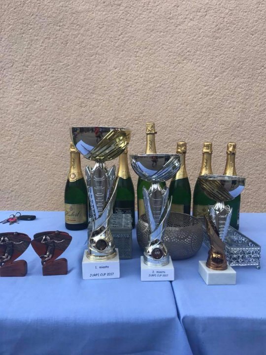 Команда волинського депутата - тріумфатор міжнародного турніру