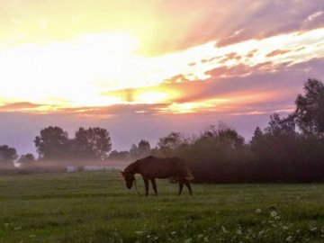 Чарівний світанок у волинському селі. ФОТО