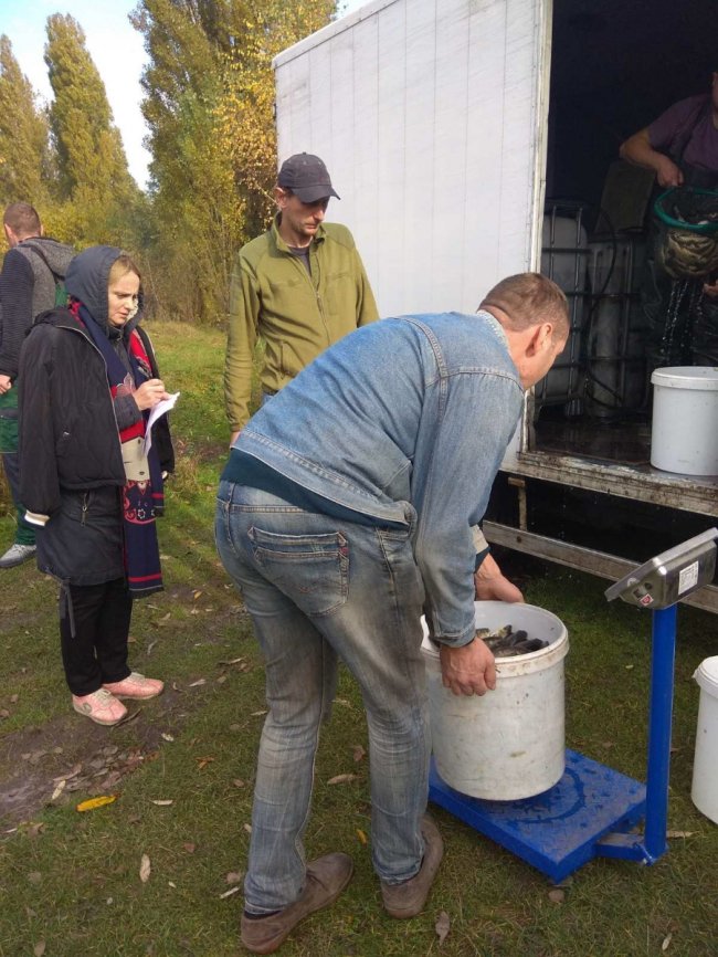 У річку Турію випустили понад тонну риби. ФОТО