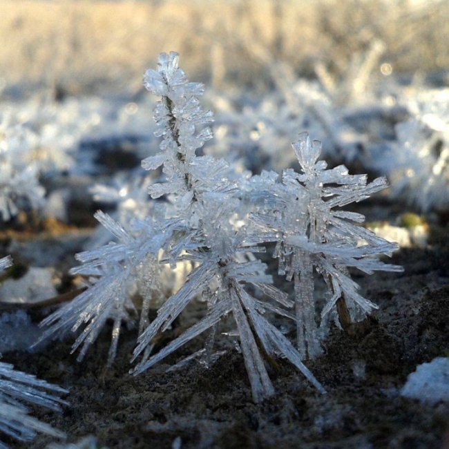 Краса волинської зими. ФОТО