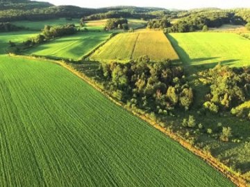 Селяни пожинають плоди бурхливої діяльності Держгеокадастру, – Олександр Омельчук. ВІДЕО