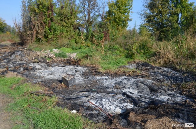 Дихати неможливо: лучани скаржаться на сміття та паліїв у центральному парку