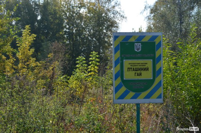 Дихати неможливо: лучани скаржаться на сміття та паліїв у центральному парку