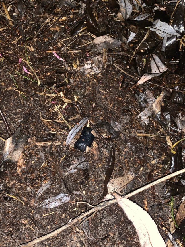 Лучанина спіймали на гарячому із 18 «закладками». ФОТО