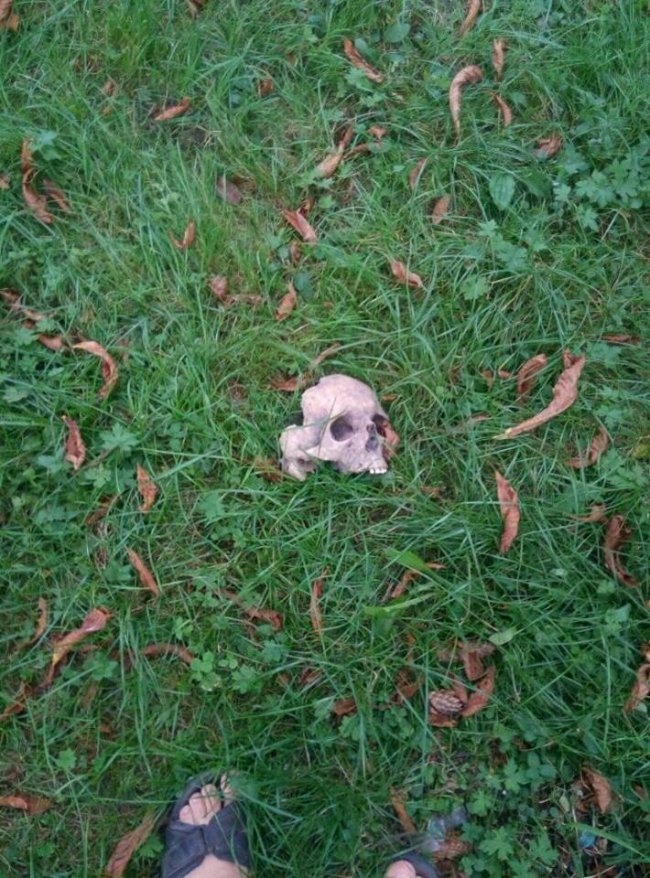 У місті на Волині посеред вулиці знайшли людський череп. ФОТО 