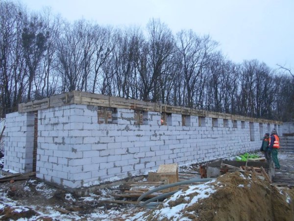 Директор луцької «Ласки» показала, як розбудовується притулок