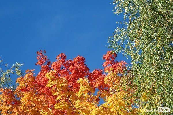 Початок осені у Луцьку. ФОТО