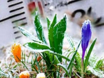 Синоптики повідомили, коли в Україні стане по-справжньому тепло 