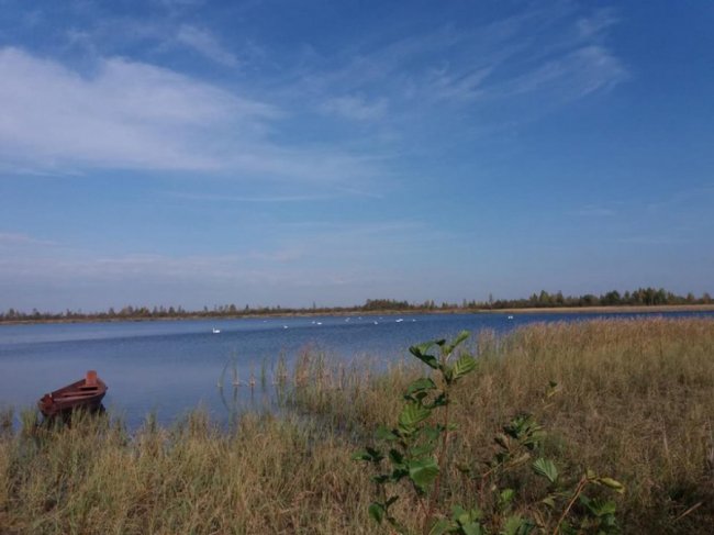 Краса і спокій осіннього Світязя. ФОТО