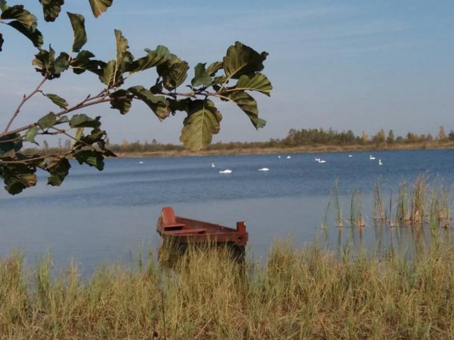 Краса і спокій осіннього Світязя. ФОТО