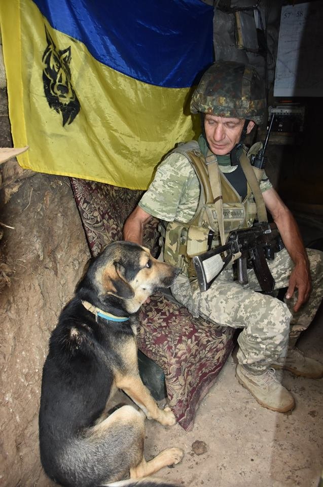 Воїни волинської бригади врятували пораненого собаку. ФОТО