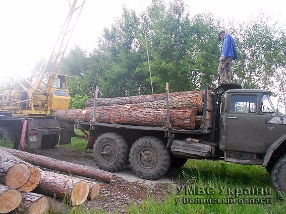 Вилучено незаконно вирубаного лісу на  майже 100 000 гривень. ФОТО