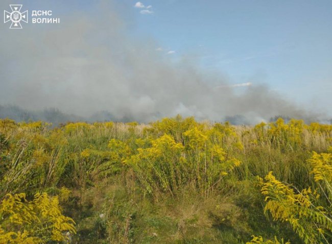 На Волині горів торф. ФОТО