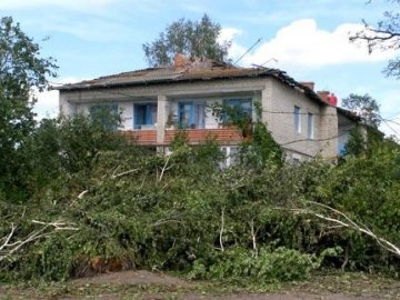 На Волині стихія зривала дахи з будинків і валила дерева