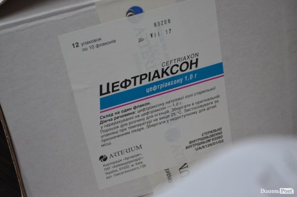 «Автомайдан Волинь» та «Карабас-Барабас» передали ліки «Айдару»