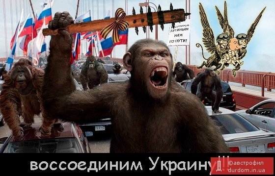 Добкін і вибори, Путін і Крим, - фотожаби тижня