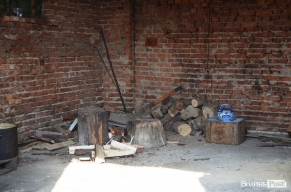 Майже 90% безпритульних тварин Луцька знаходять домівку. ФОТО