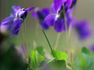 Синоптики розповіли про погоду на 11 березня