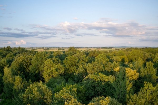 Фотовиставка Олега Гордіюка