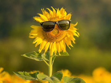 Погода в Луцьку та Волинській області на п’ятницю, 17 липня