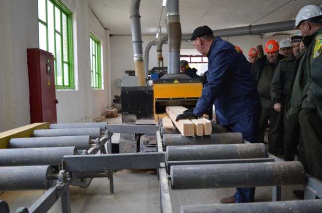 На Волині запрацювала сучасна лінія з переробки деревини. ФОТО 