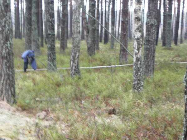 На Волині знайшли поховання, датовані 1915 роком. ФОТО
