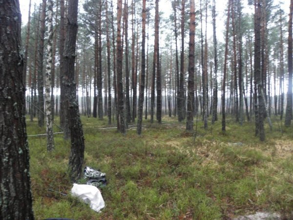 На Волині знайшли поховання, датовані 1915 роком. ФОТО