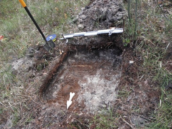 На Волині знайшли поховання, датовані 1915 роком. ФОТО